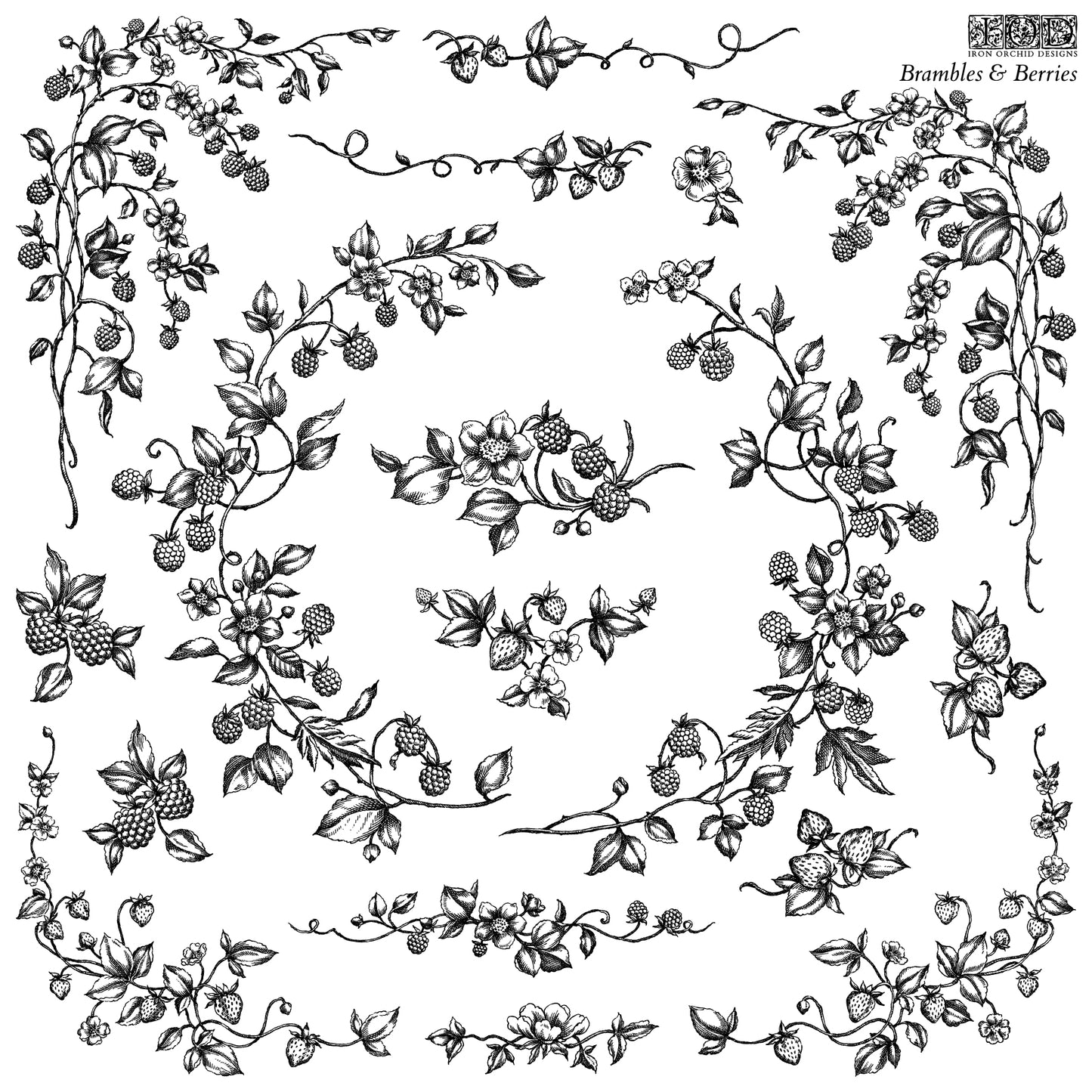 Brambles & Berries Stamp (IOD) Iron Orchid Designs- 12x12