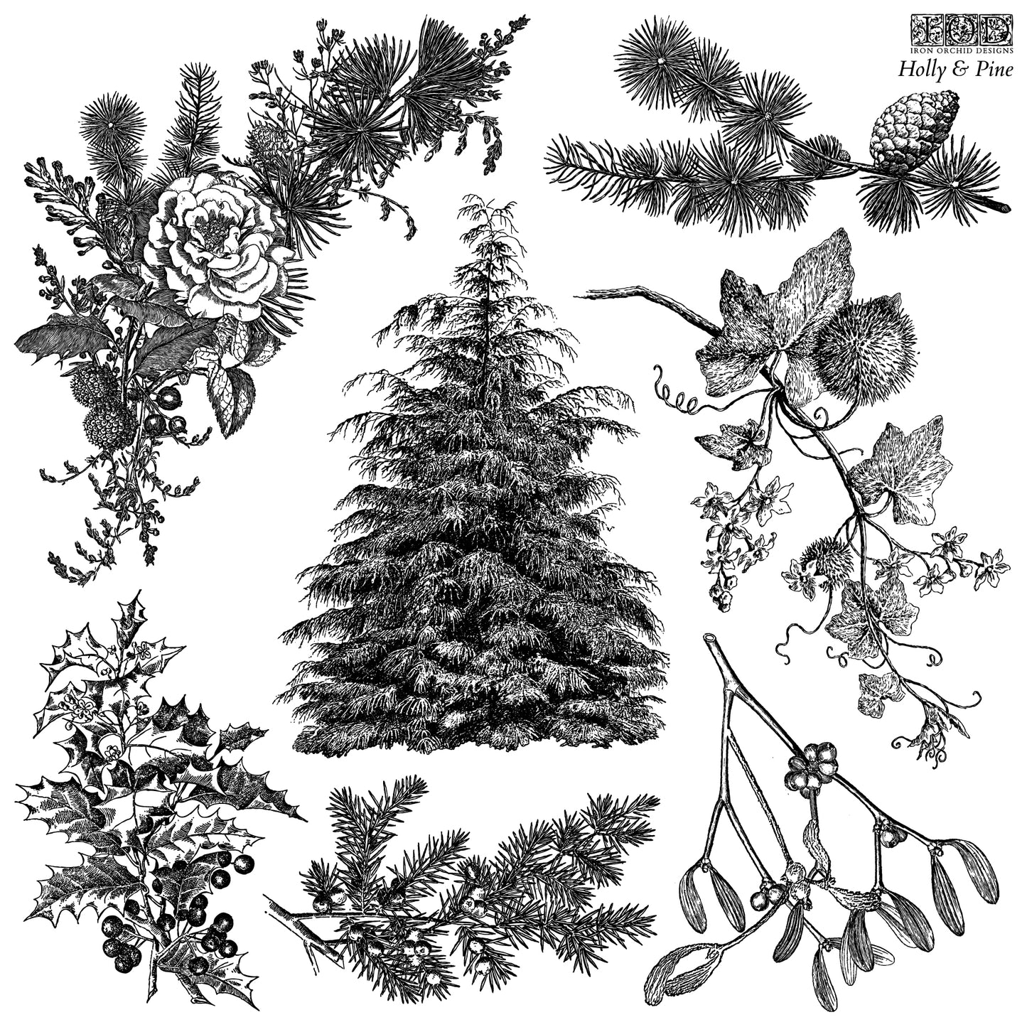 Holly & Pine Stamp (IOD) Iron Orchid Designs- 12x12