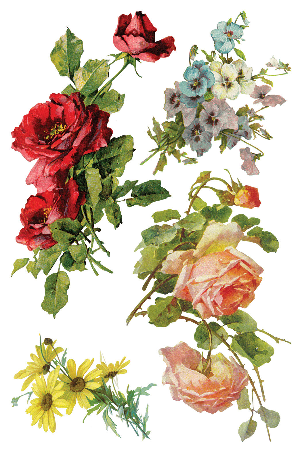 Catharina Transfer (IOD) Iron Orchid Designs Transfer- 8x12 Pad™