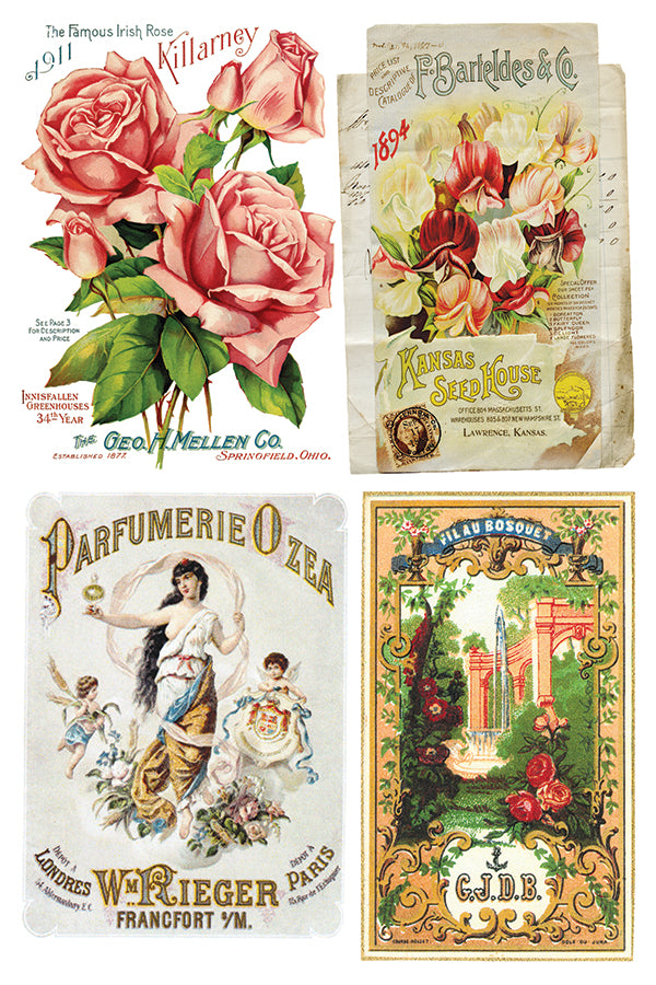 Ephemeral Mélange Transfer Transfer (IOD) Iron Orchid Designs- 8×12 Pad™