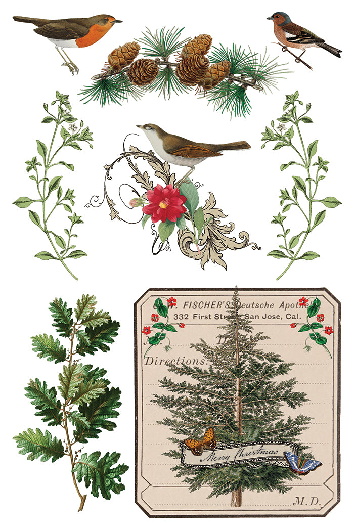 Winter Botanist Transfer (IOD) Iron Orchid Designs- 8x12 Pad