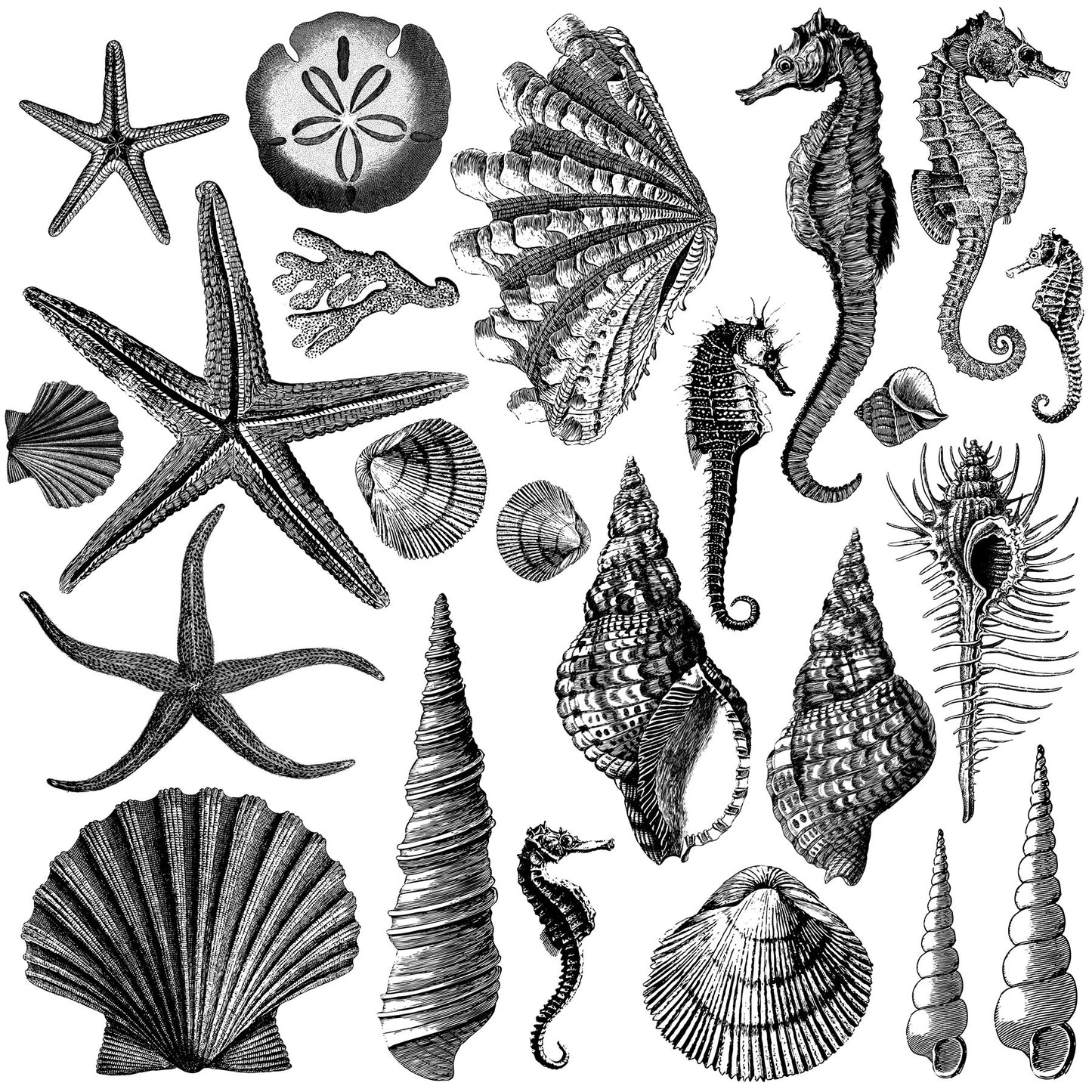 Seashore Stamp (IOD) Iron Orchid Designs- 12x12