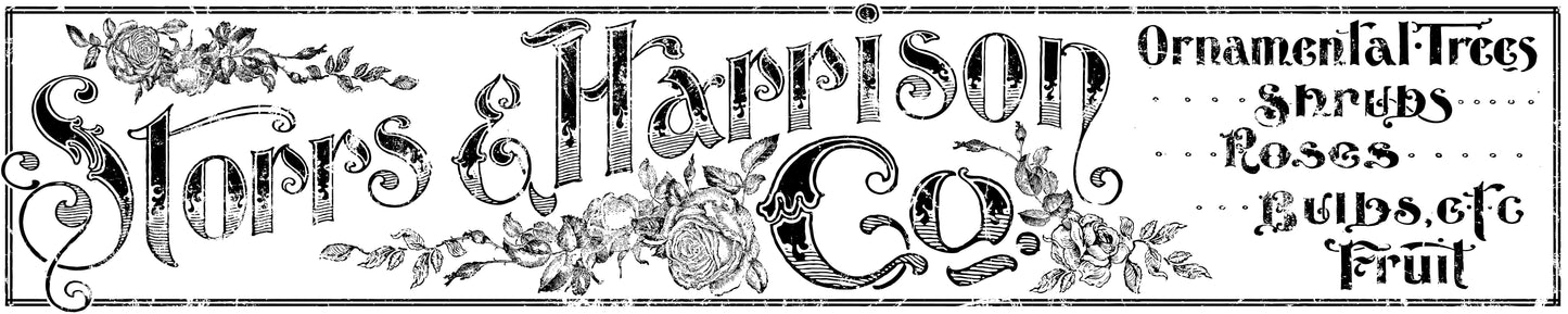 Storrs & Harrison Co. Transfer (IOD) Iron Orchid Designs- 12x60 Banner