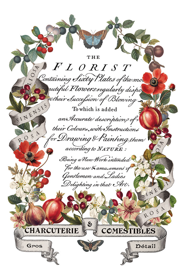 IOD Clementine Transfer Page 8 featuring an oval botanical wreath of red blossoms, dark plums, pears, and foliage surrounding vintage calligraphic script reading "THE FLORIST," with ribbon banners "SINENSIS ROSA" and bottom shop signs reading "CHARCUTERIE & COMESTIBLES."