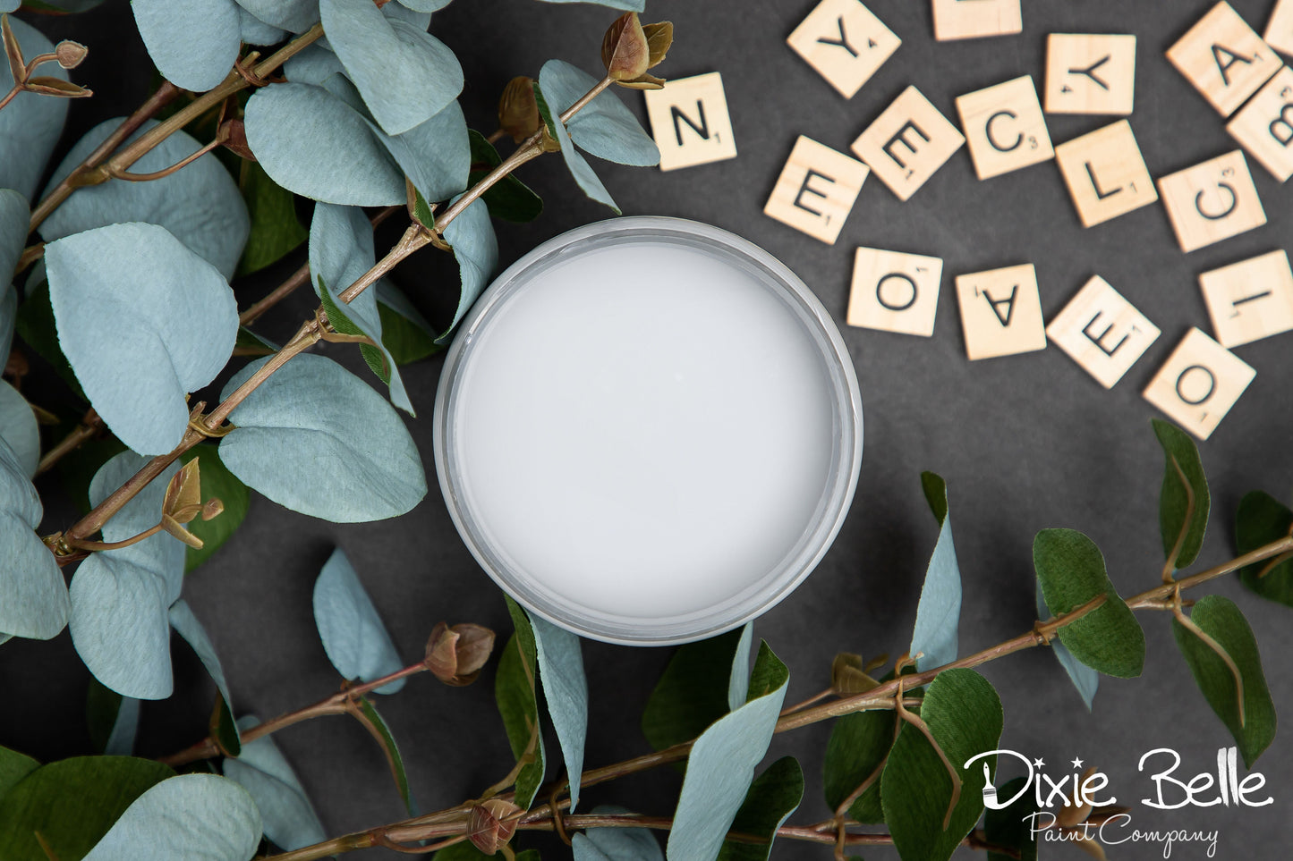 Manatee Gray- Dixie Belle Chalk Mineral Paint