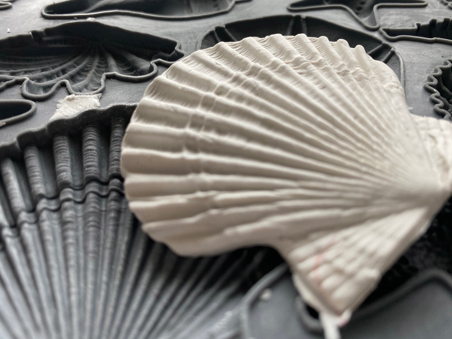 Seashore Mould (IOD) Iron Orchid Designs- 6x10