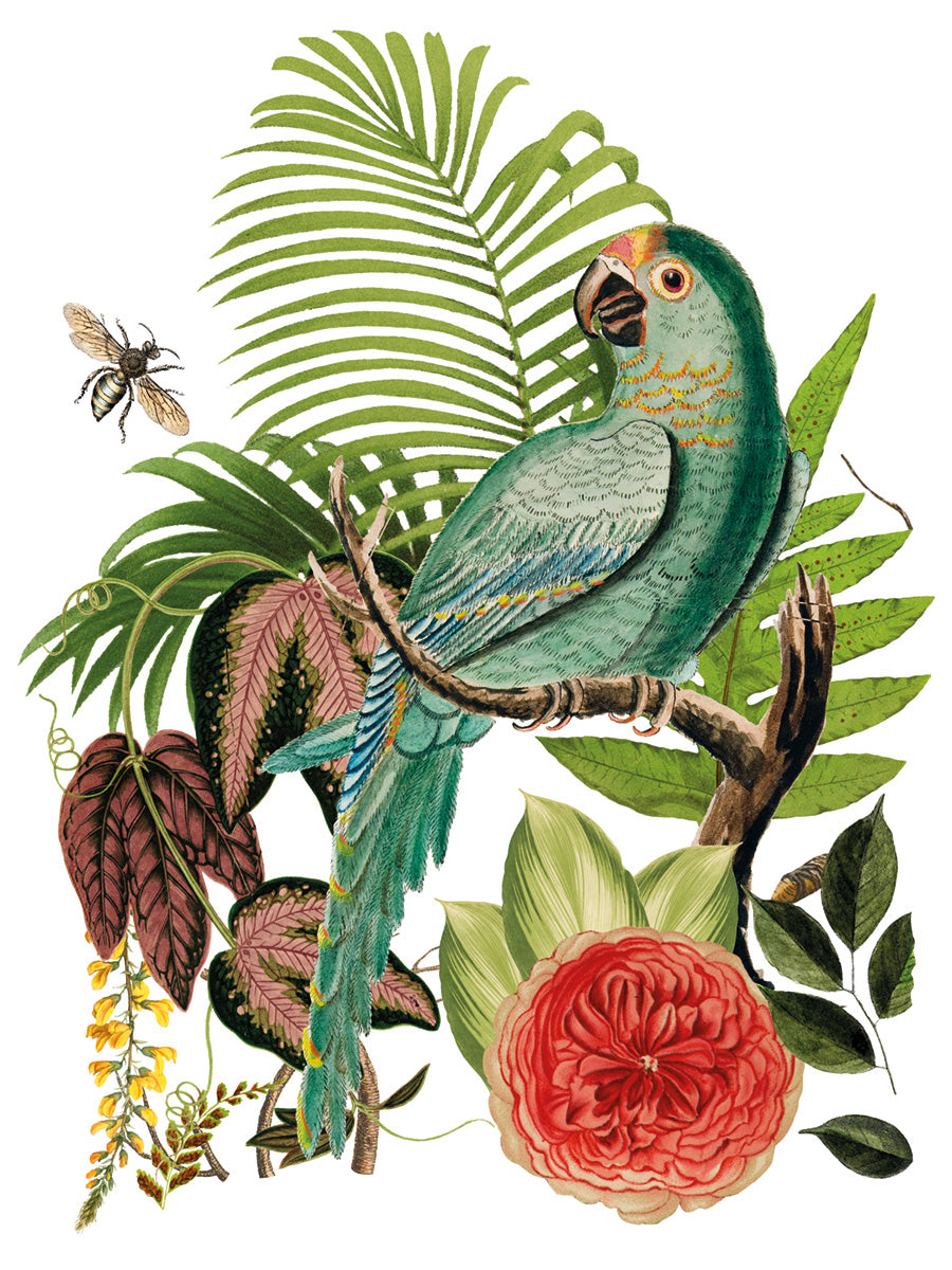 Bungalow Transfer (IOD) Iron Orchid Designs- 12x16 Pad™