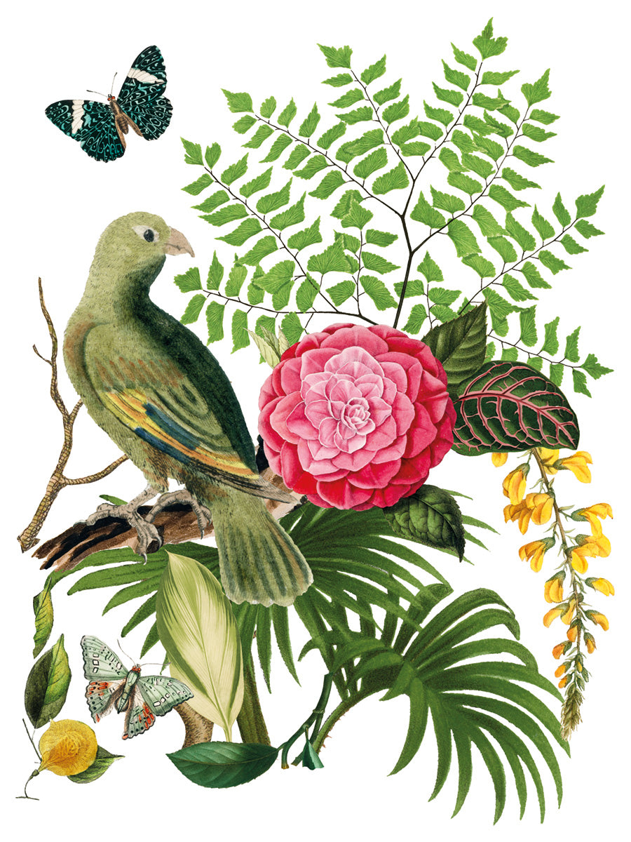 Bungalow Transfer (IOD) Iron Orchid Designs- 12x16 Pad™
