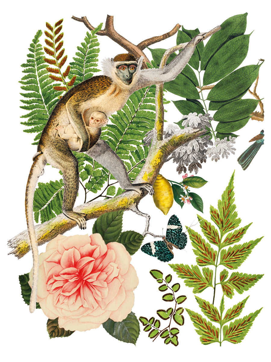 Bungalow Transfer (IOD) Iron Orchid Designs- 12x16 Pad™