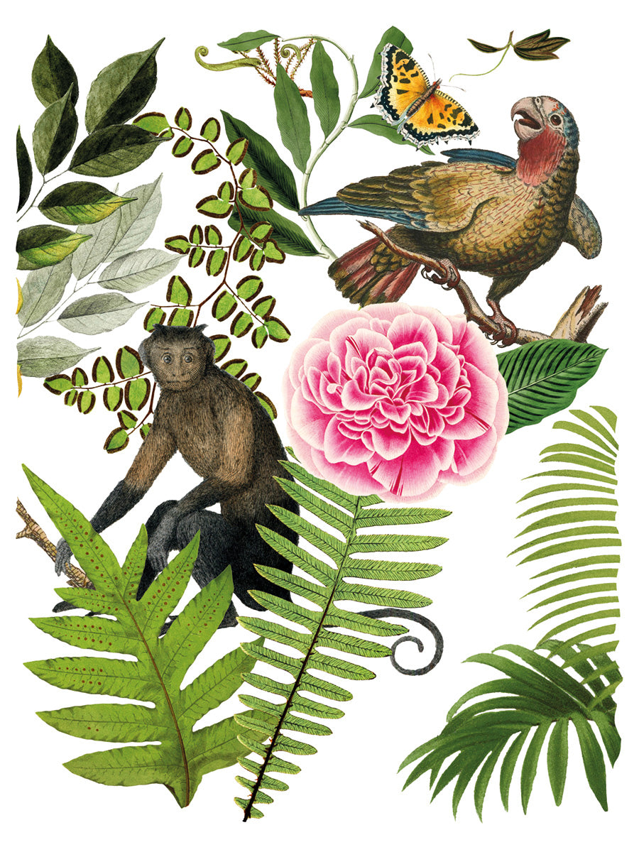Bungalow Transfer (IOD) Iron Orchid Designs- 12x16 Pad™