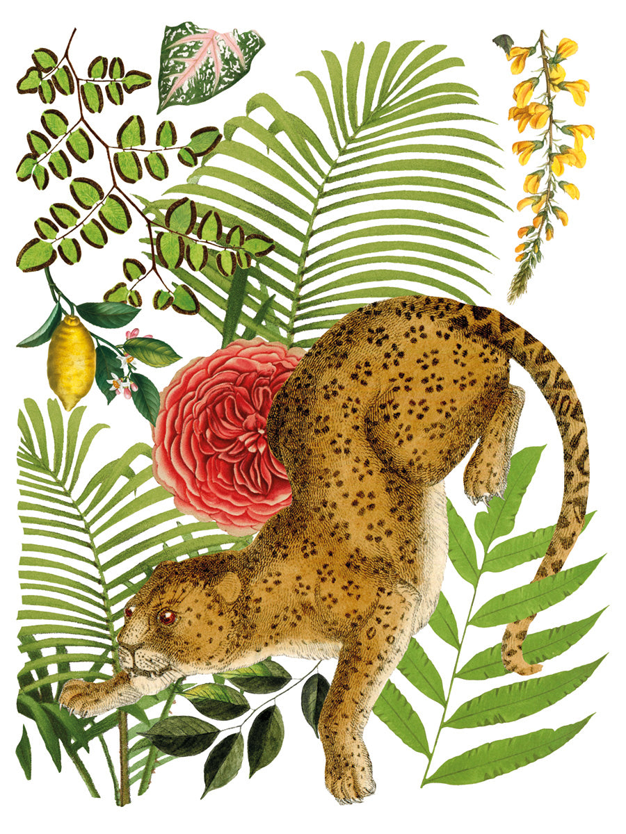 Bungalow Transfer (IOD) Iron Orchid Designs- 12x16 Pad™