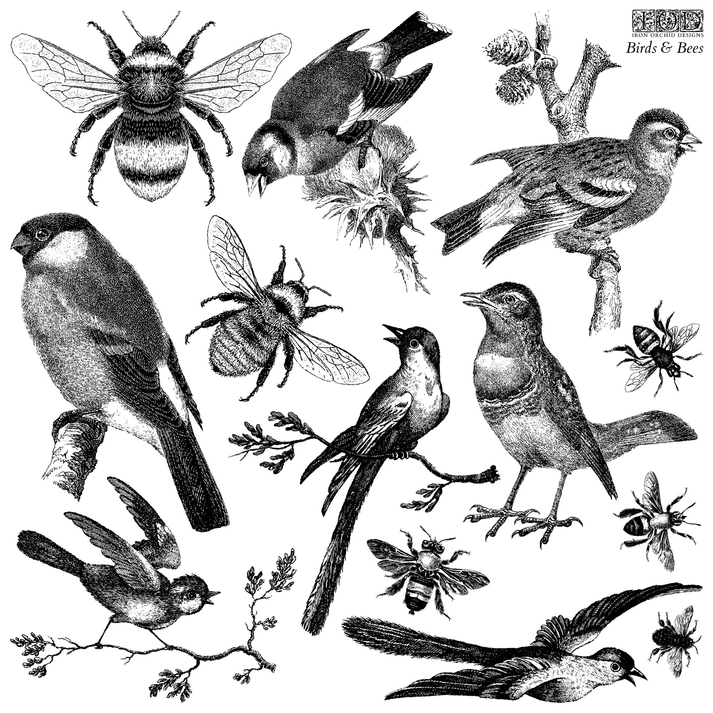 Birds & Bees Stamp (IOD) Iron Orchid Designs- 12x12