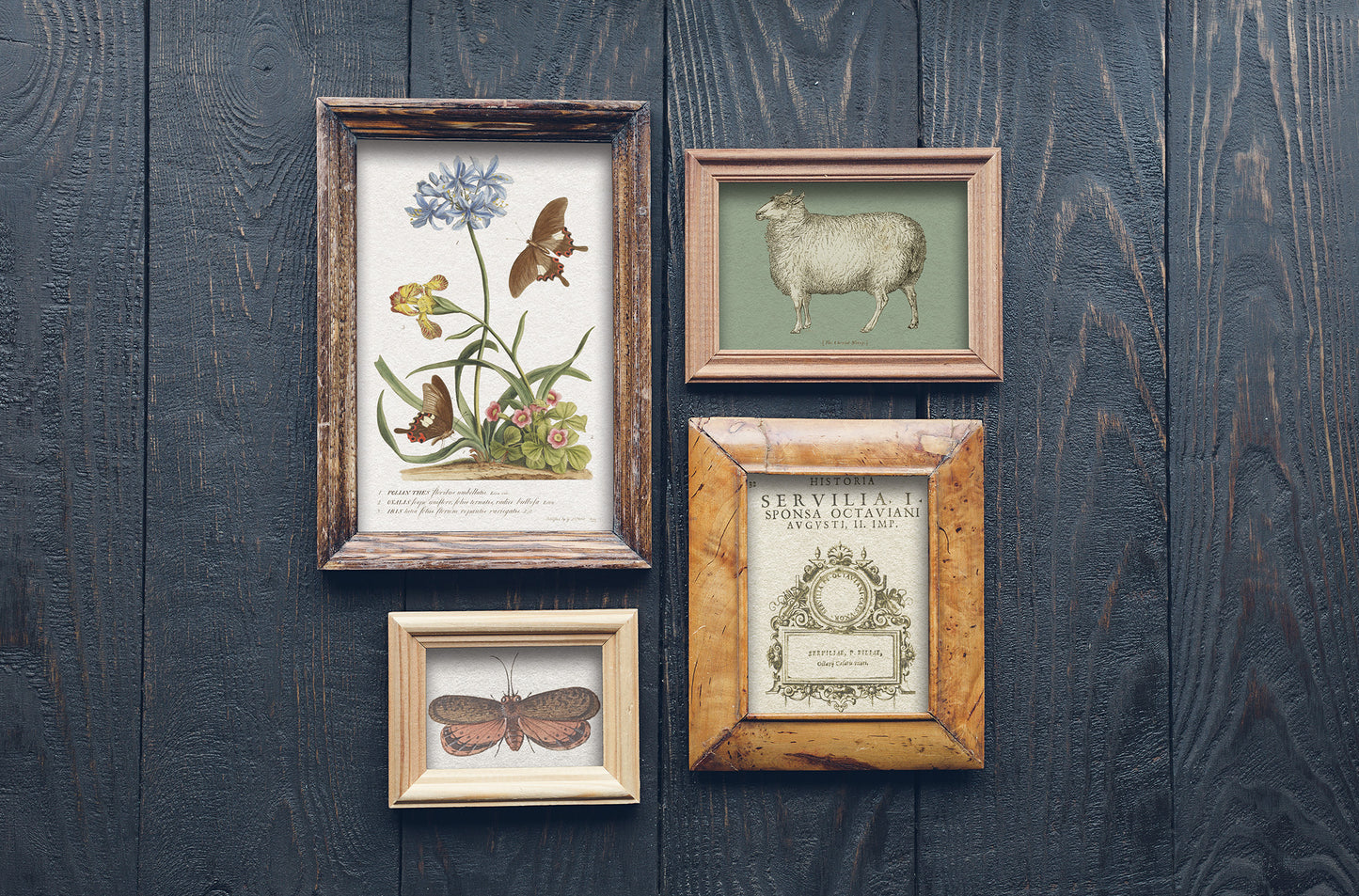 Brocante Transfer (IOD) Iron Orchid Designs- 12x16 Pad™