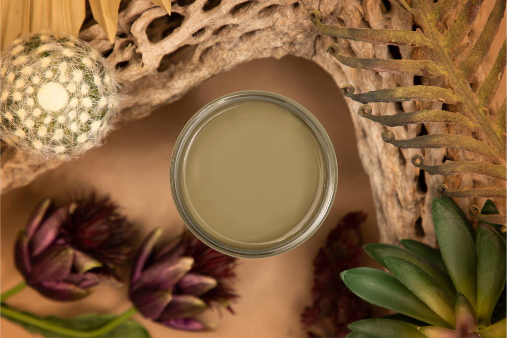 Cactus Dixie Belle Silk All-In-One Mineral Paint in earthy olive khaki