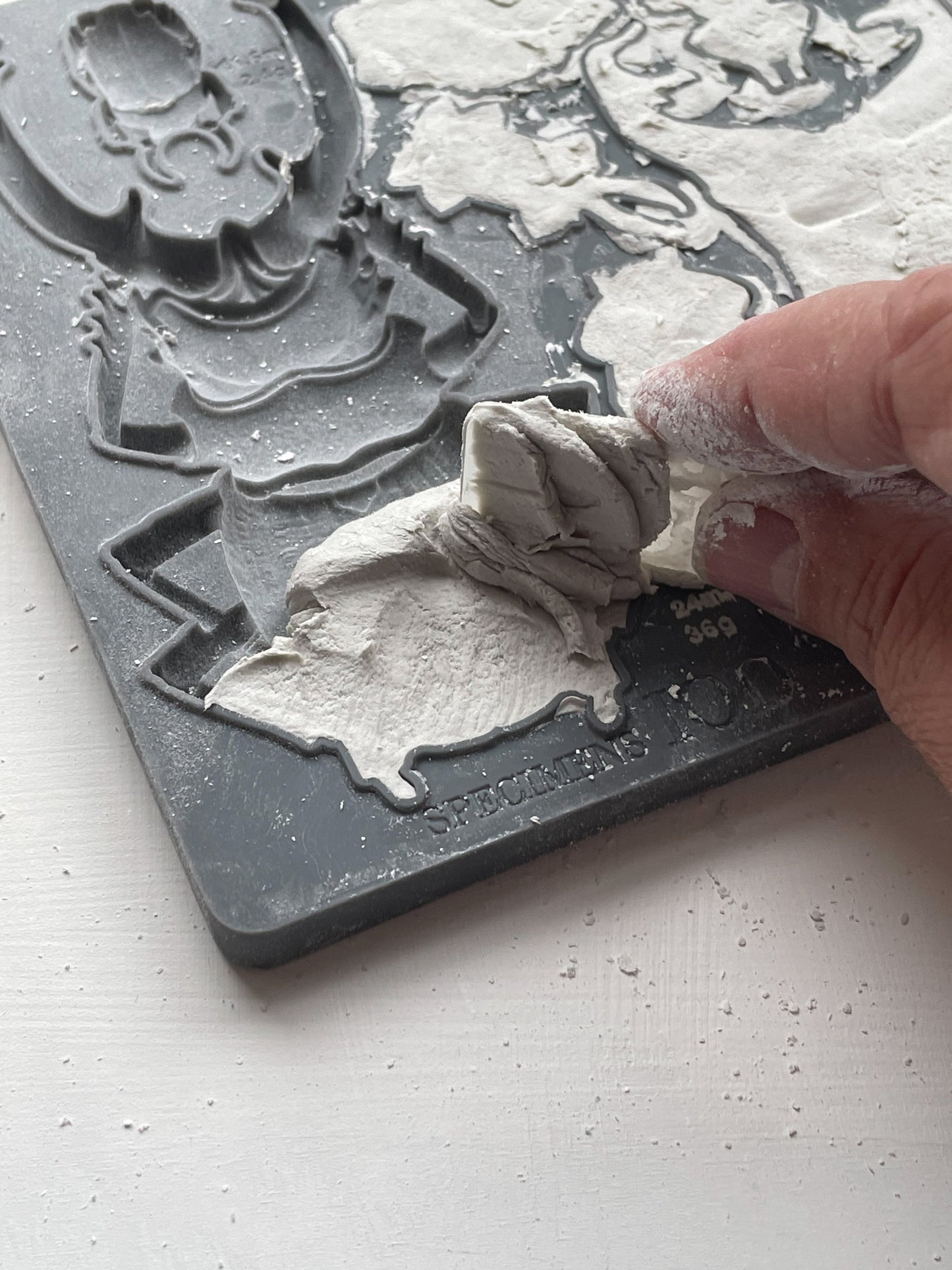 Specimens IOD Mould (IOD) Iron Orchid Designs- 6x10