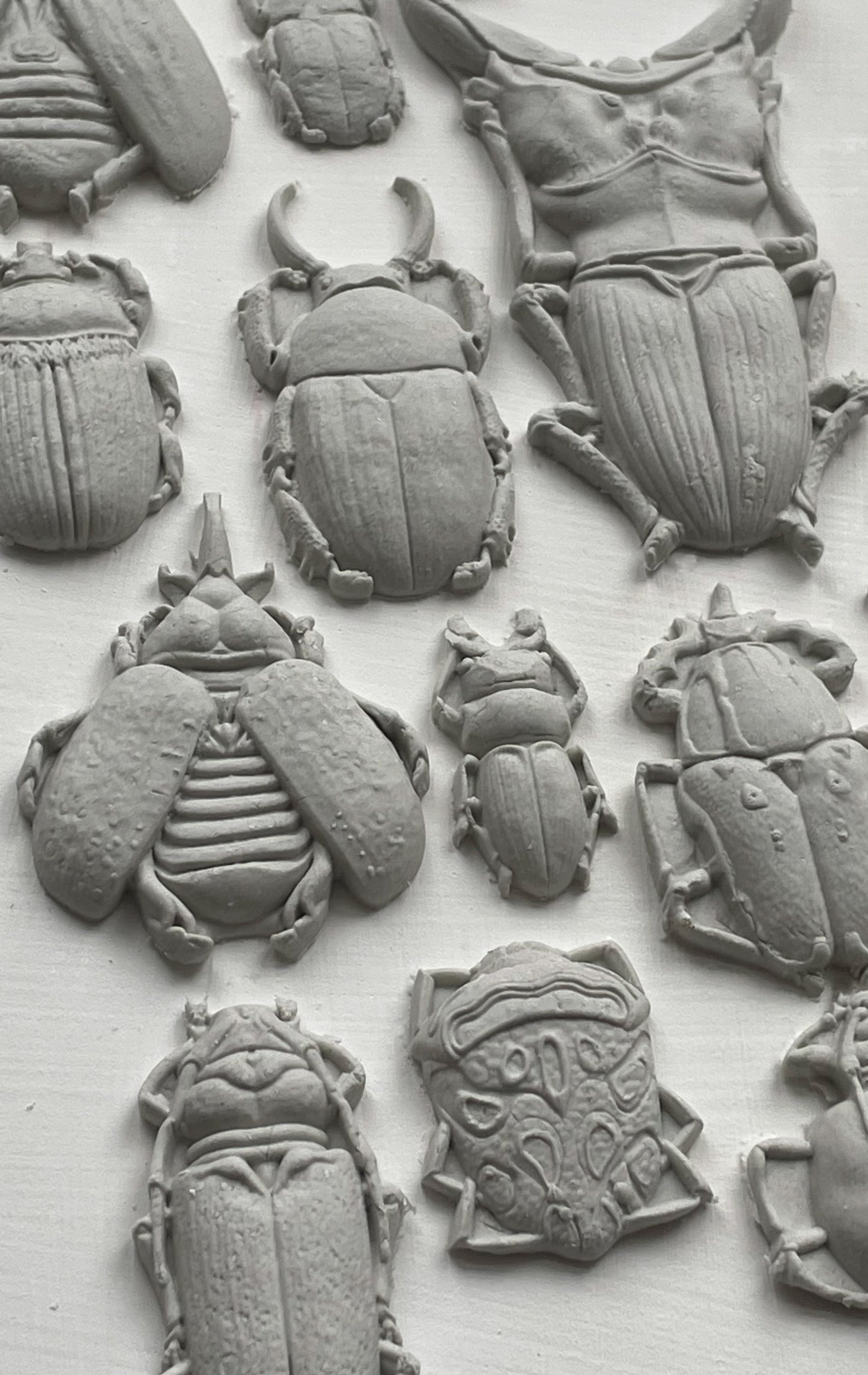 Specimens IOD Mould (IOD) Iron Orchid Designs- 6x10
