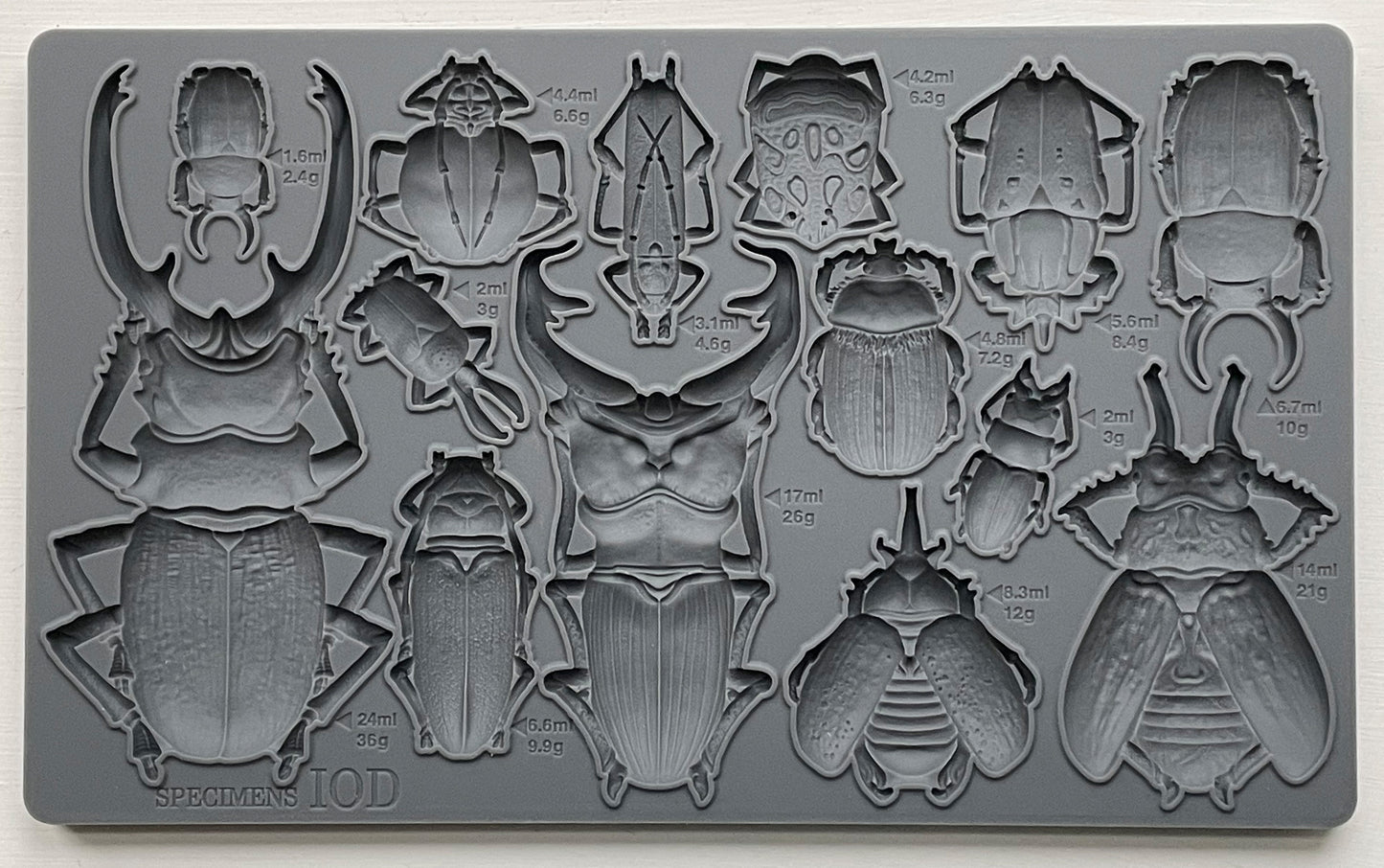 Specimens IOD Mould (IOD) Iron Orchid Designs- 6x10