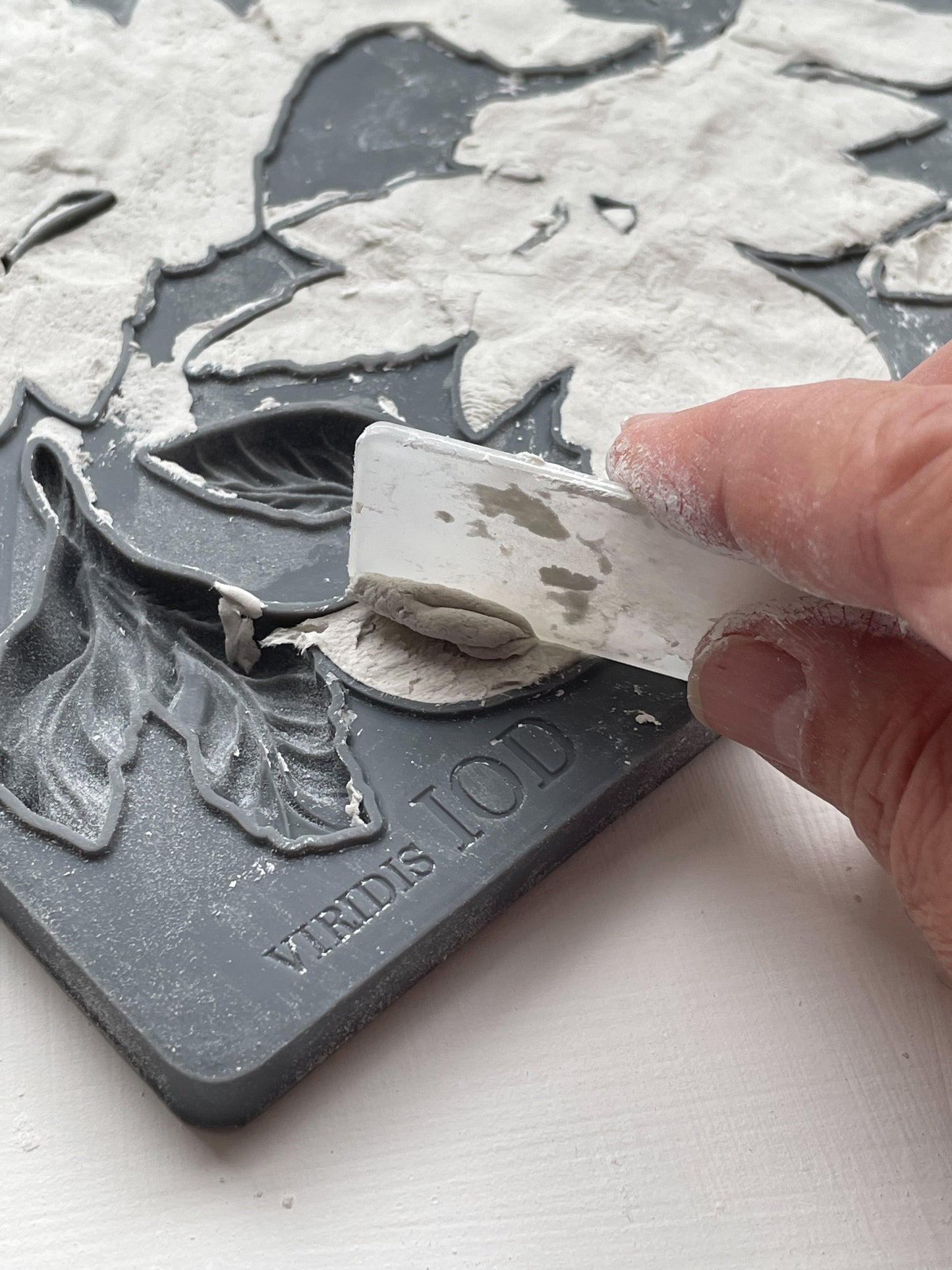 Viridis Mould (IOD) Iron Orchid Designs- 6x10