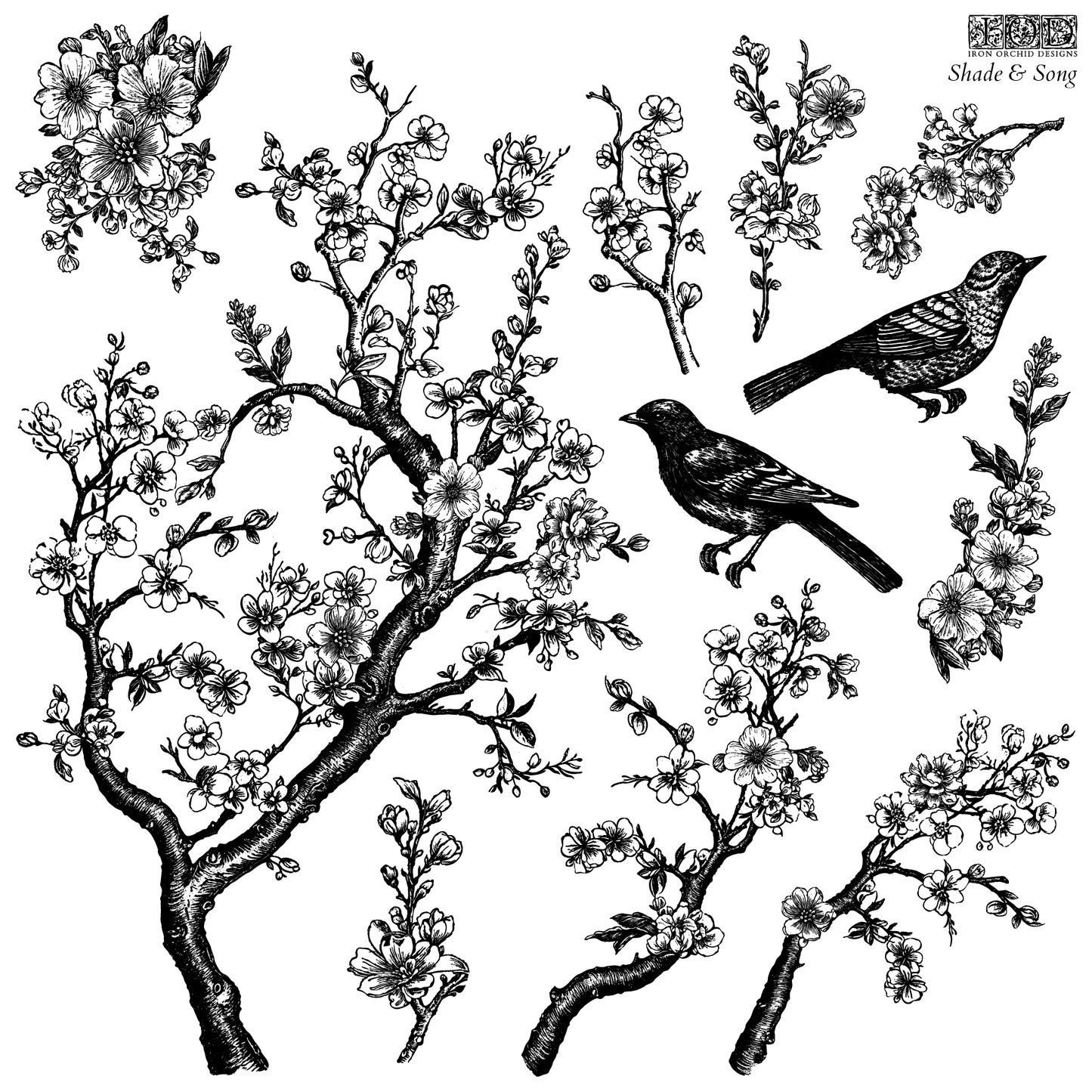 Shade & Song Stamp (IOD) Iron Orchid Designs- 12x12
