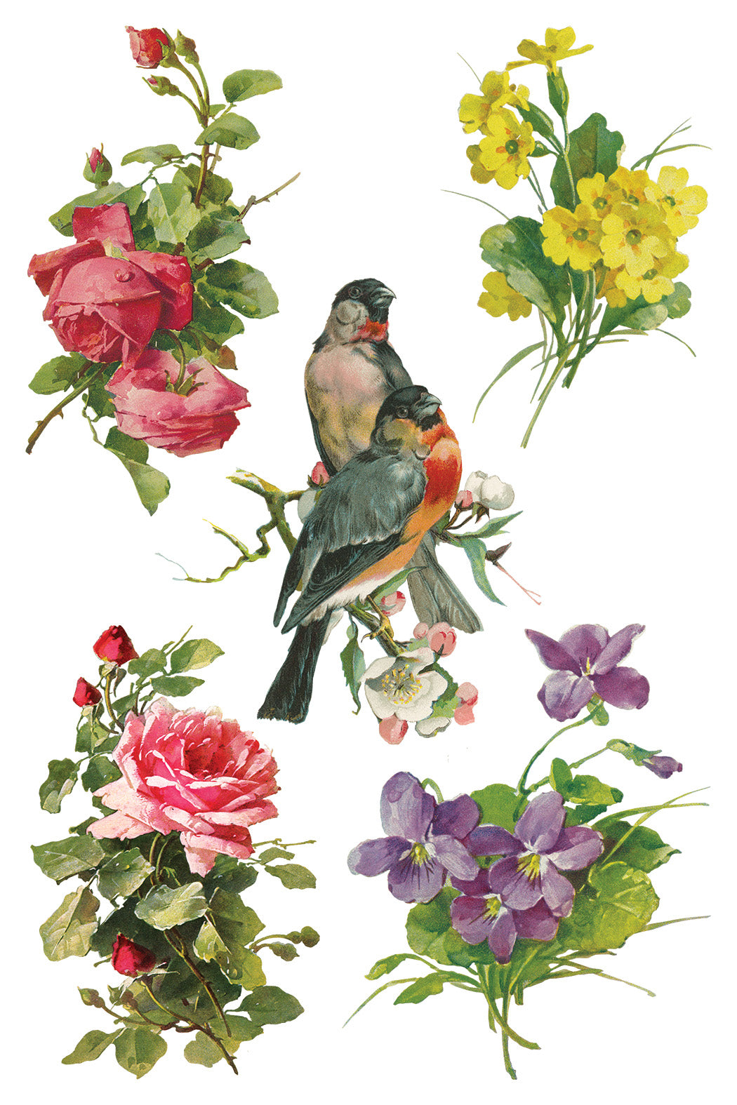 Catharina Transfer (IOD) Iron Orchid Designs Transfer- 8x12 Pad™