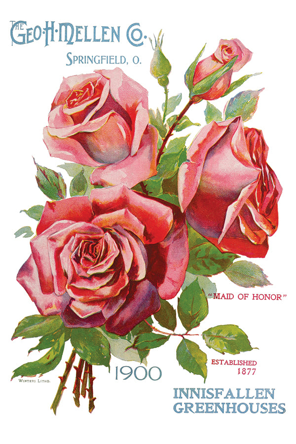 Ephemeral Mélange Transfer Transfer (IOD) Iron Orchid Designs- 8×12 Pad™