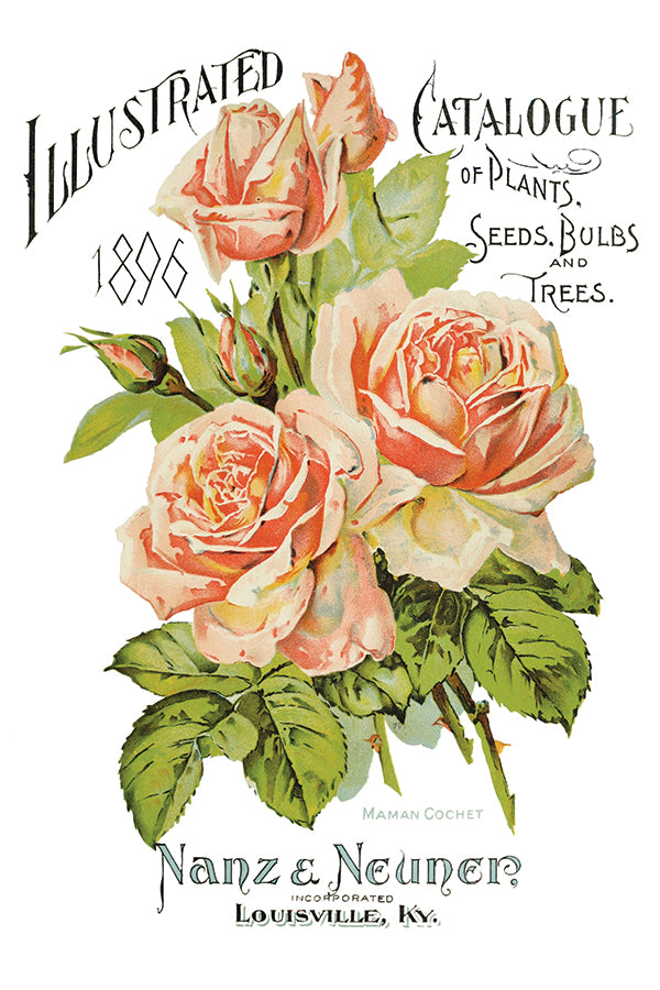 Ephemeral Mélange Transfer Transfer (IOD) Iron Orchid Designs- 8×12 Pad™