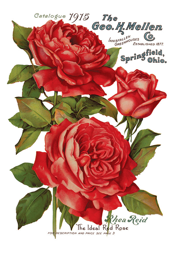 Ephemeral Mélange Transfer Transfer (IOD) Iron Orchid Designs- 8×12 Pad™