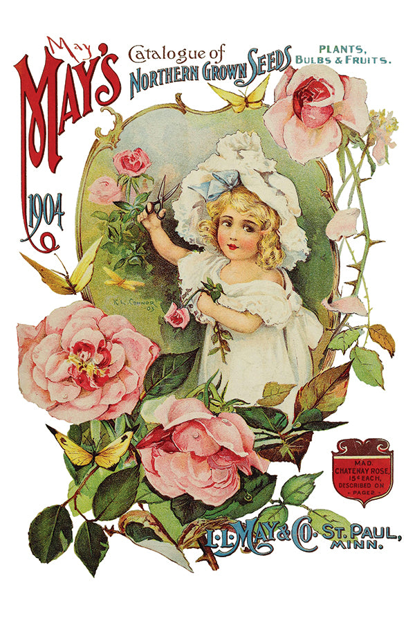 Ephemeral Mélange Transfer Transfer (IOD) Iron Orchid Designs- 8×12 Pad™