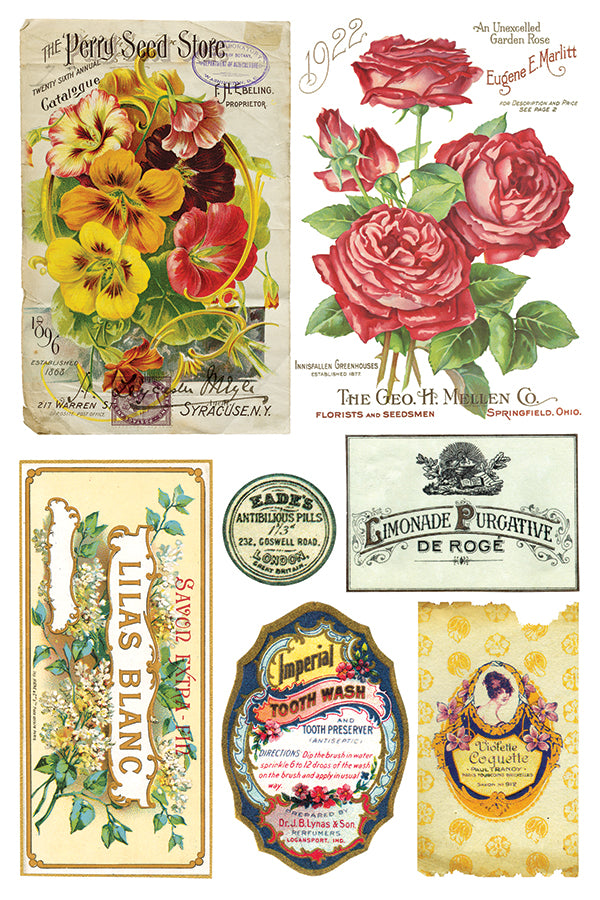 Ephemeral Mélange Transfer Transfer (IOD) Iron Orchid Designs- 8×12 Pad™