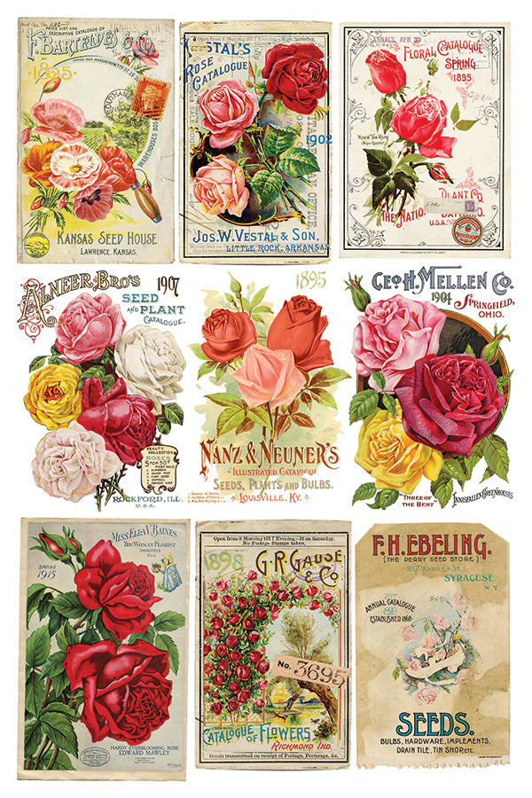 Ephemeral Mélange Transfer Transfer (IOD) Iron Orchid Designs- 8×12 Pad™
