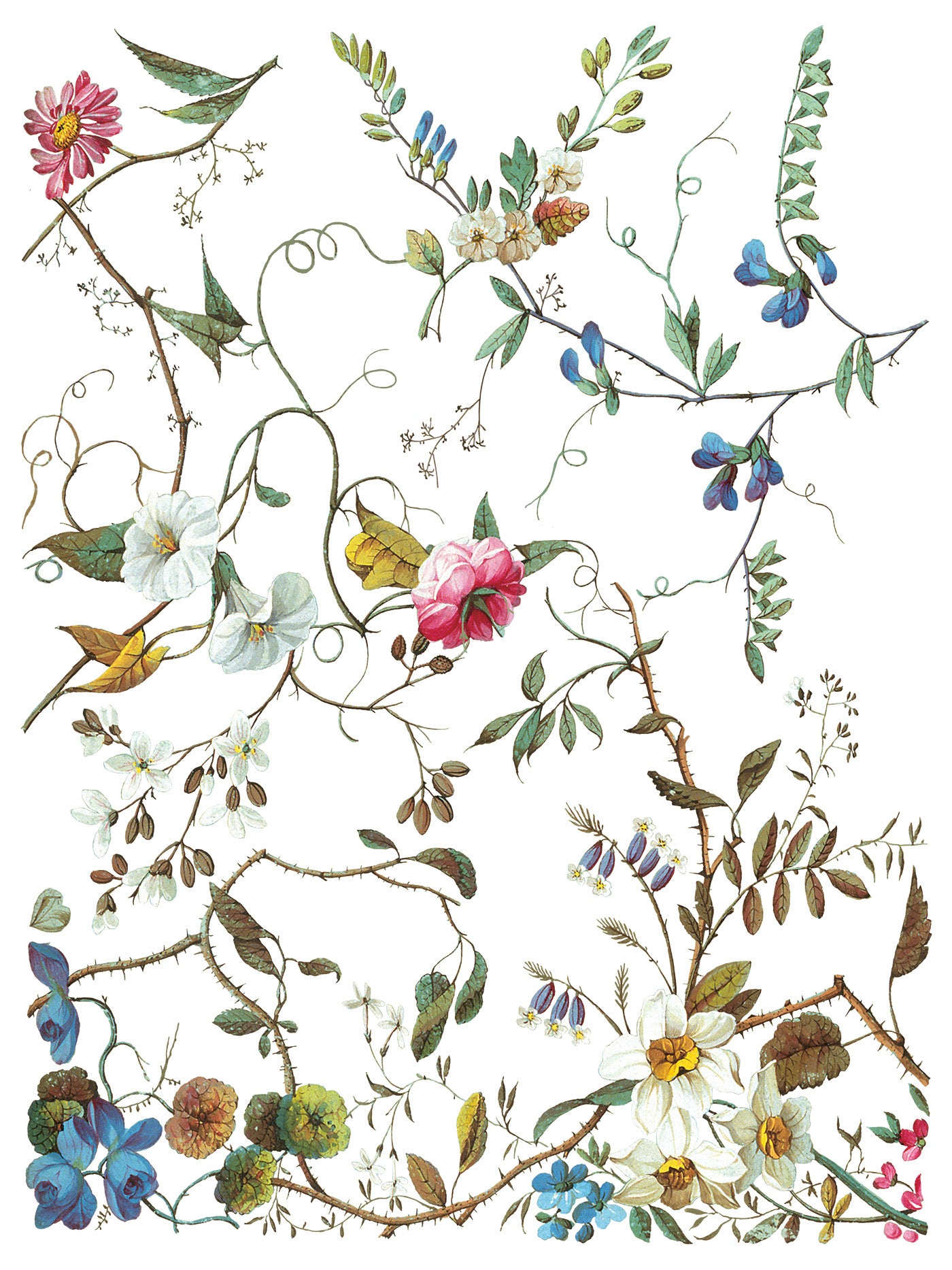 Lost Garden Transfer (IOD) Iron Orchid Designs- 12×16 Pad™