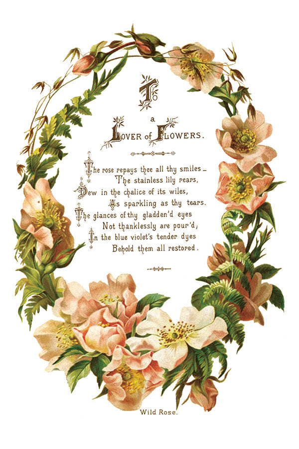 Lover of Flowers Transfer (IOD) Iron Orchid Designs- 8x12 Pad