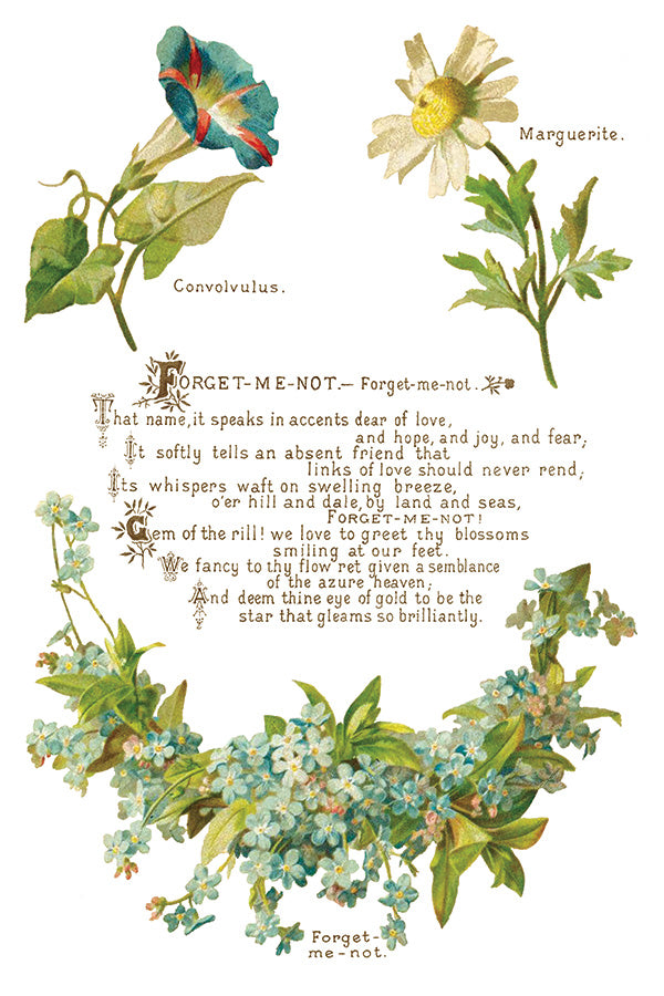 Lover of Flowers Transfer (IOD) Iron Orchid Designs- 8x12 Pad