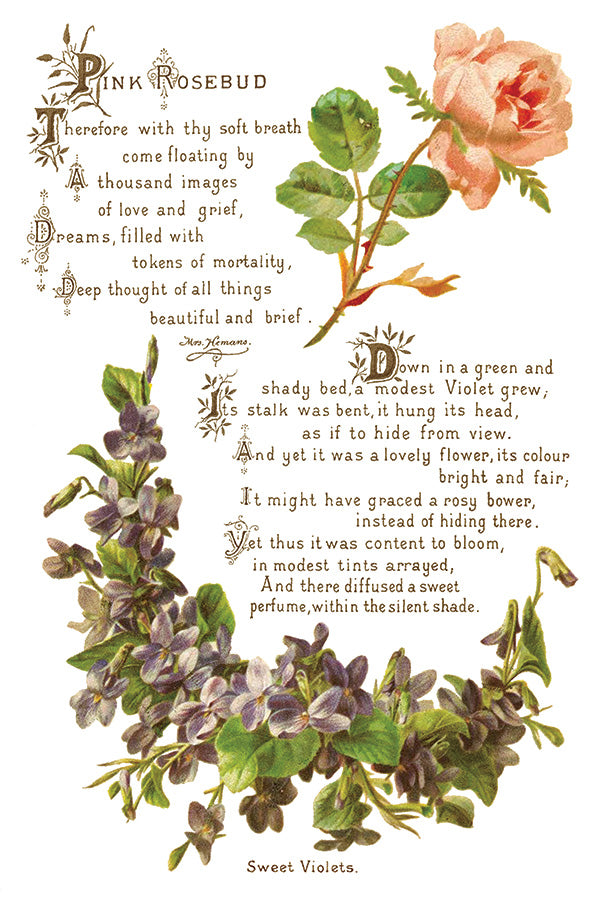 Lover of Flowers Transfer (IOD) Iron Orchid Designs- 8x12 Pad