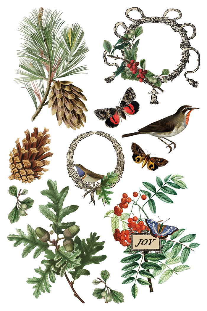 Winter Botanist Transfer (IOD) Iron Orchid Designs- 8x12 Pad