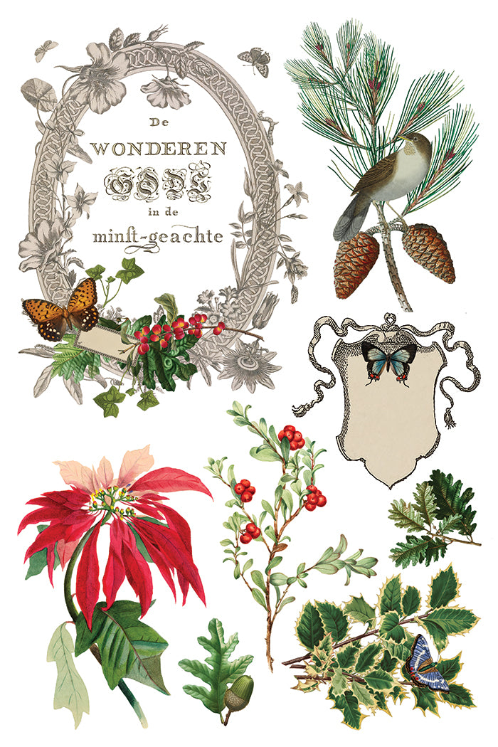 Winter Botanist Transfer (IOD) Iron Orchid Designs- 8x12 Pad