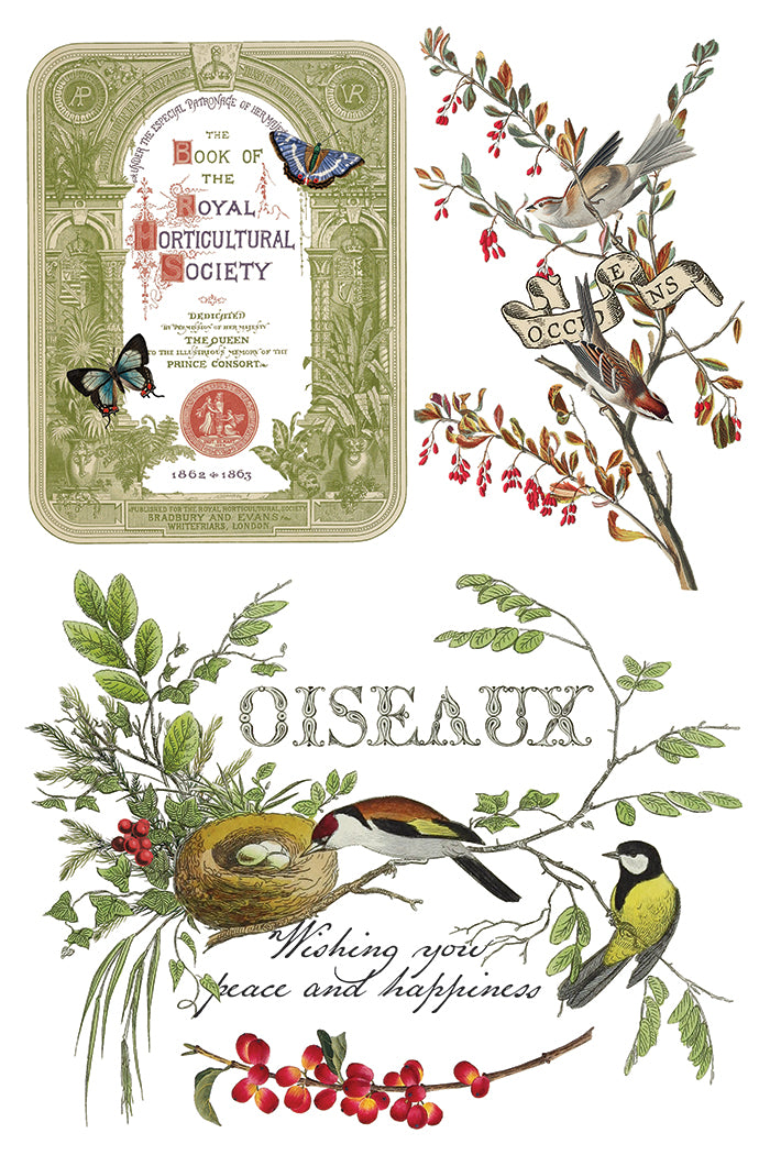 Winter Botanist Transfer (IOD) Iron Orchid Designs- 8x12 Pad