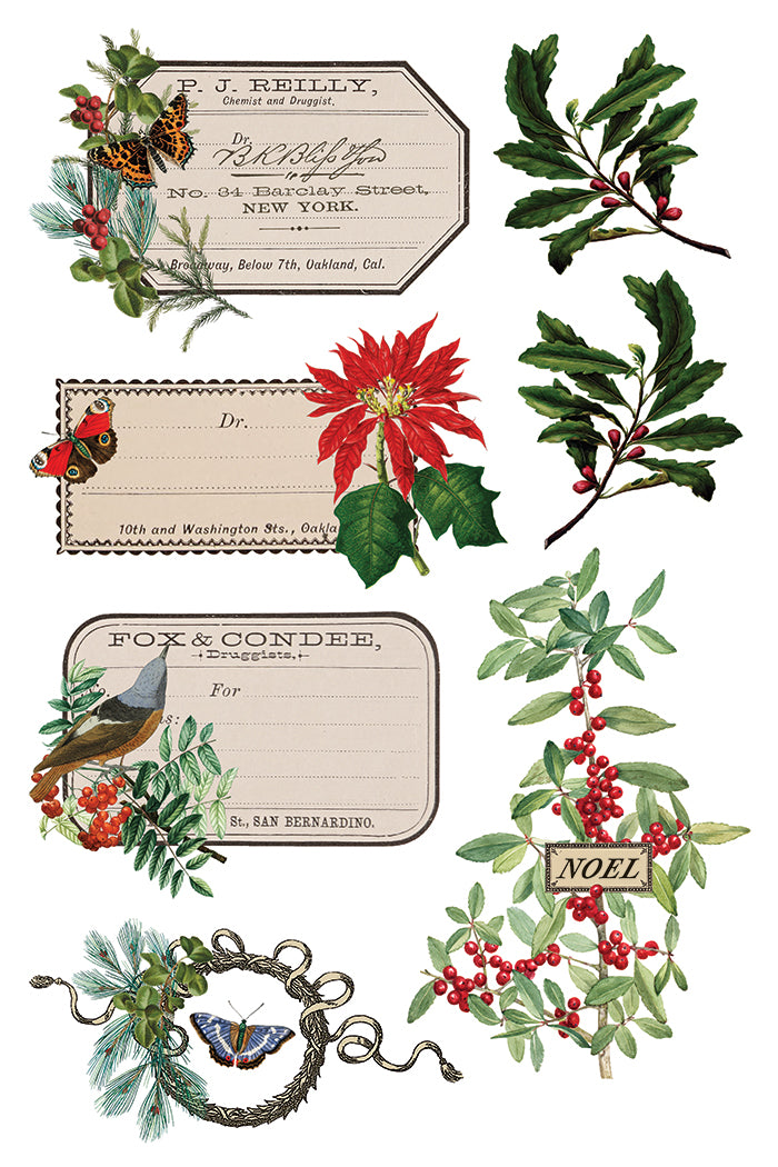 Winter Botanist Transfer (IOD) Iron Orchid Designs- 8x12 Pad
