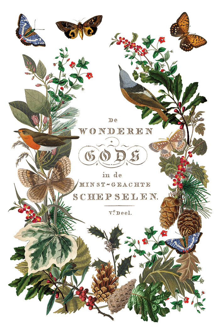 Winter Botanist Transfer (IOD) Iron Orchid Designs- 8x12 Pad