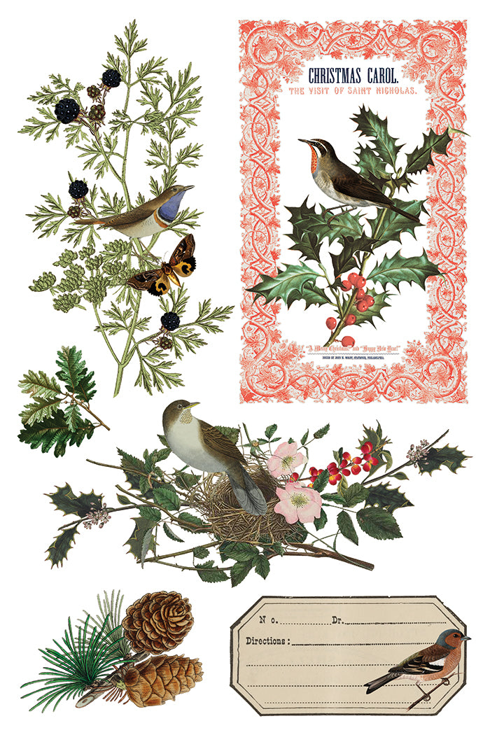 Winter Botanist Transfer (IOD) Iron Orchid Designs- 8x12 Pad
