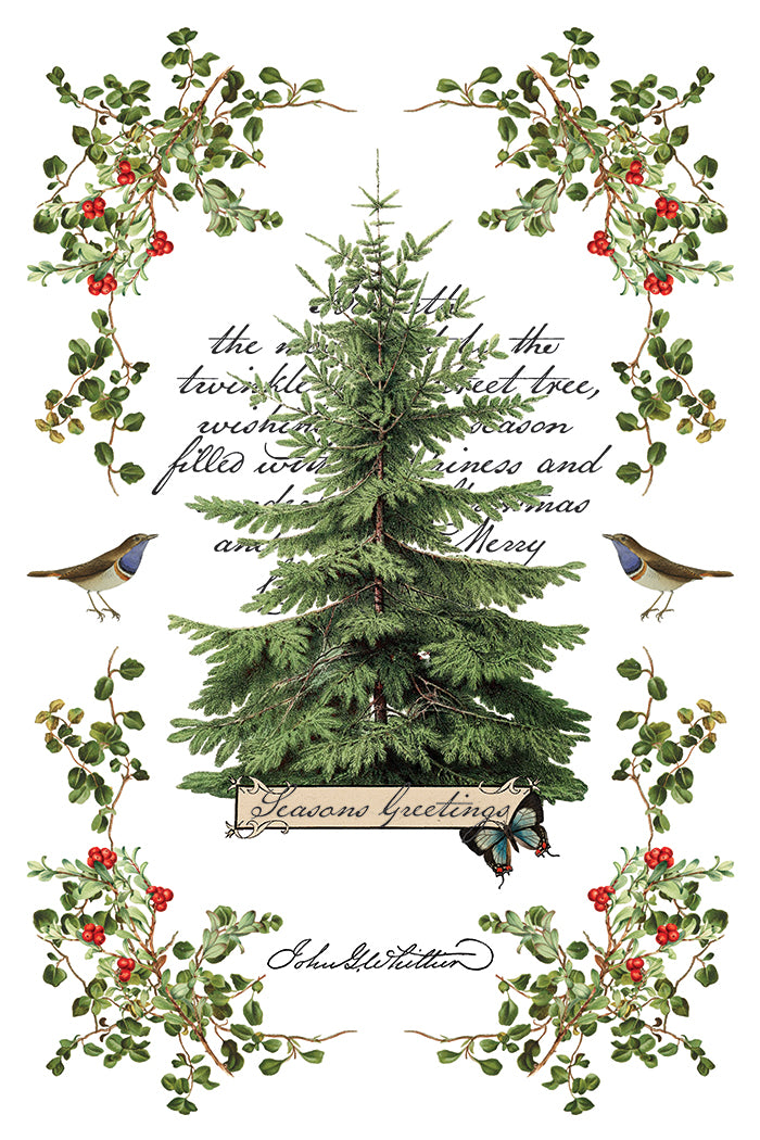 Winter Botanist Transfer (IOD) Iron Orchid Designs- 8x12 Pad