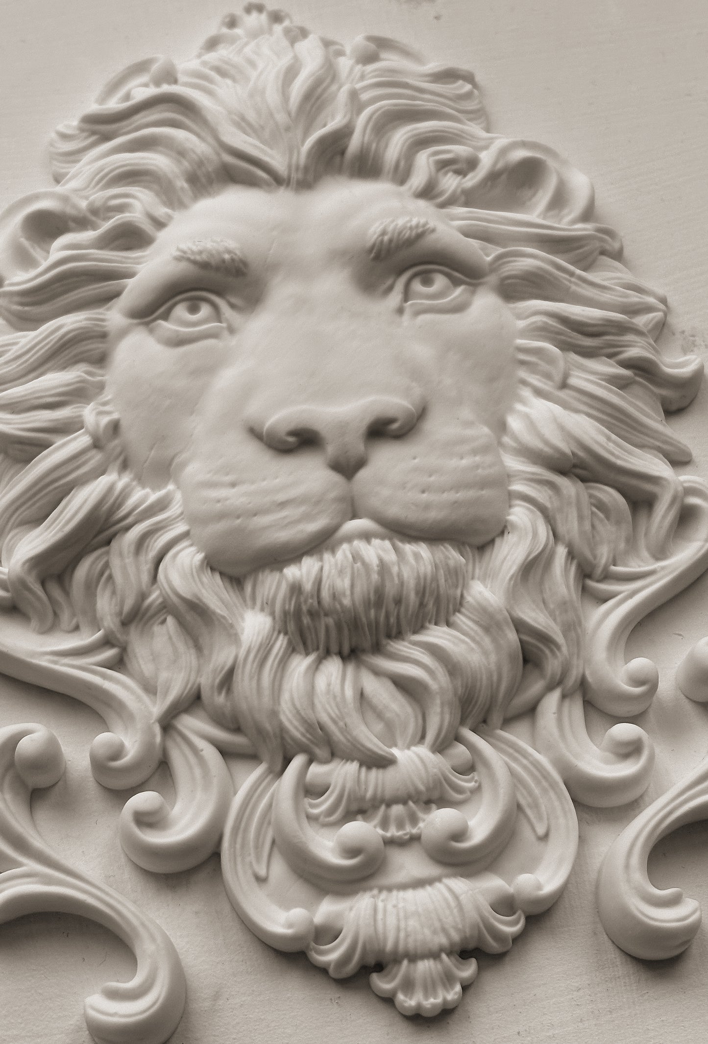 Leonidas Mould (IOD) Iron Orchid Designs– 5x7