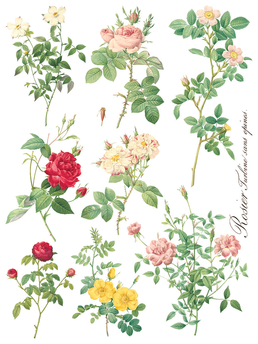 Rose Botanical Transfer (IOD) Iron Orchid Designs- 12x16 Pad