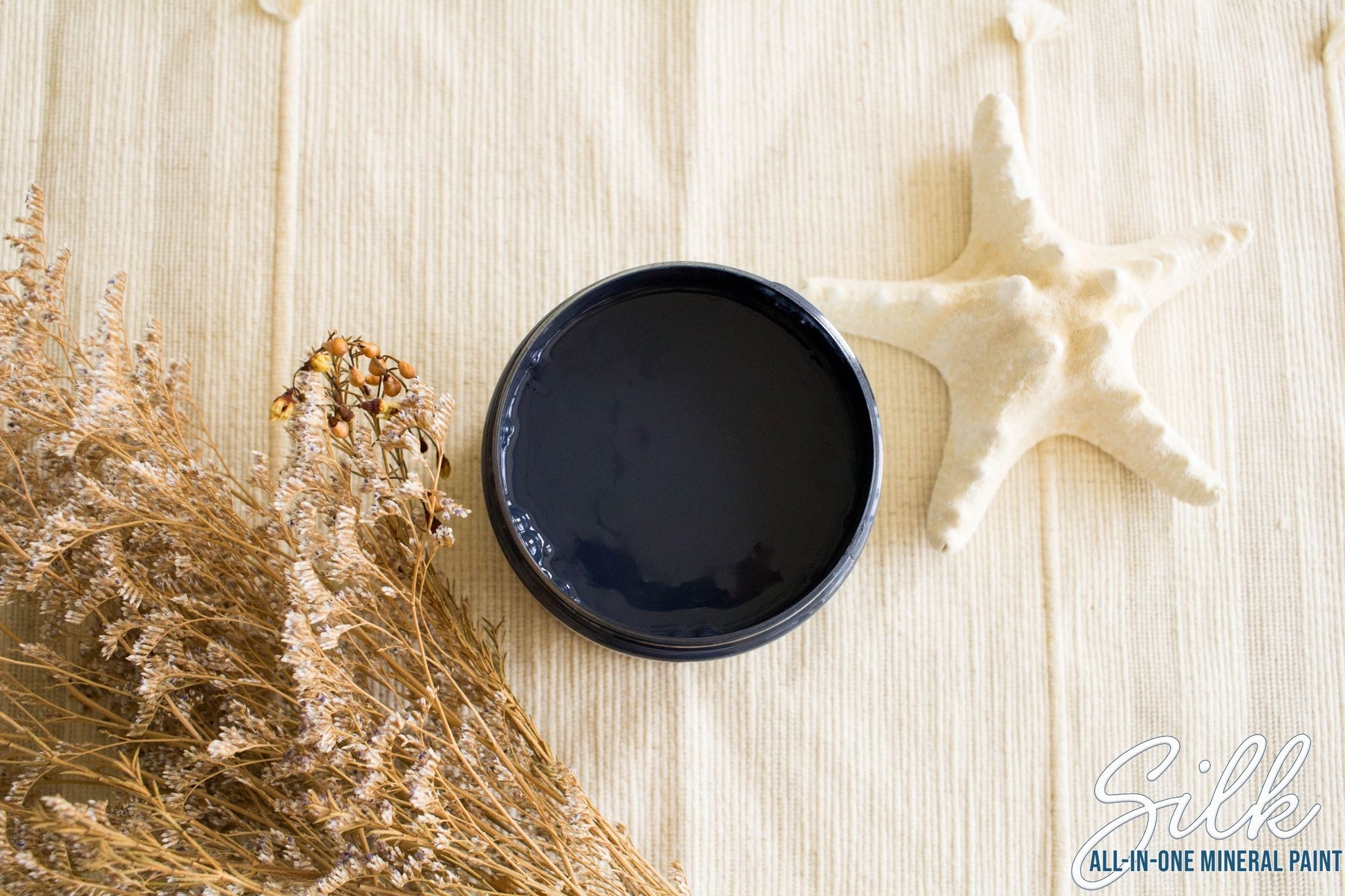 Deep Sea Dixie Belle Silk All-In-One Mineral Paint in dramatic near-black navy