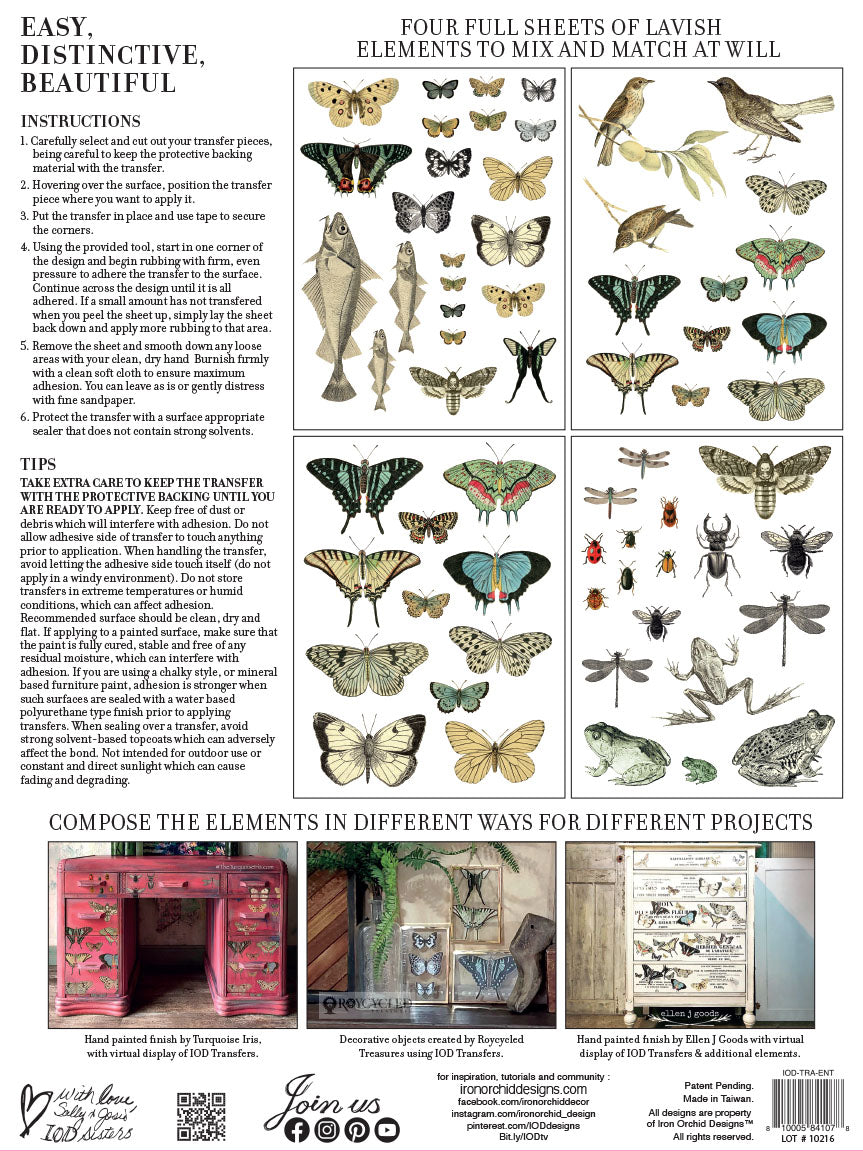Entomology Etcetera Transfer (IOD) Iron Orchid Designs Transfer- 12×16™ Pad
