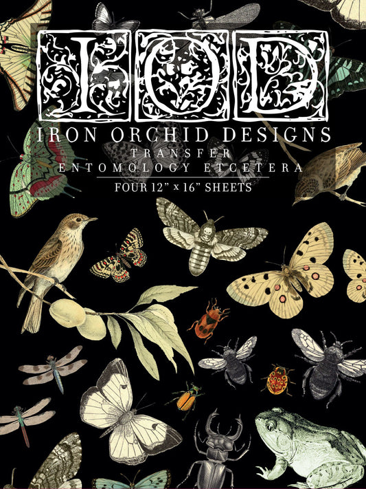 Entomology Etcetera Transfer (IOD) Iron Orchid Designs Transfer- 12×16™ Pad