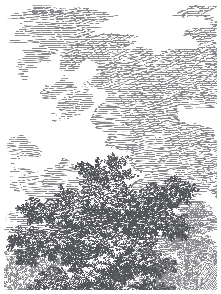 Summer Villa Paint Inlay (IOD) Iron Orchid Designs- 12x16 Pad