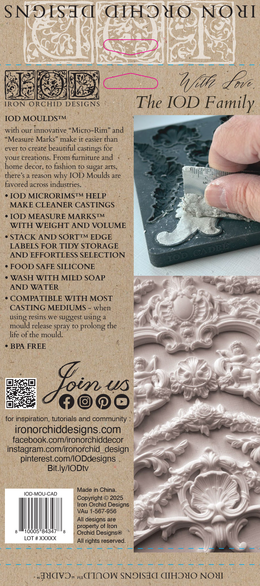 Cadre Mould (IOD) Iron Orchid Designs- 6x10