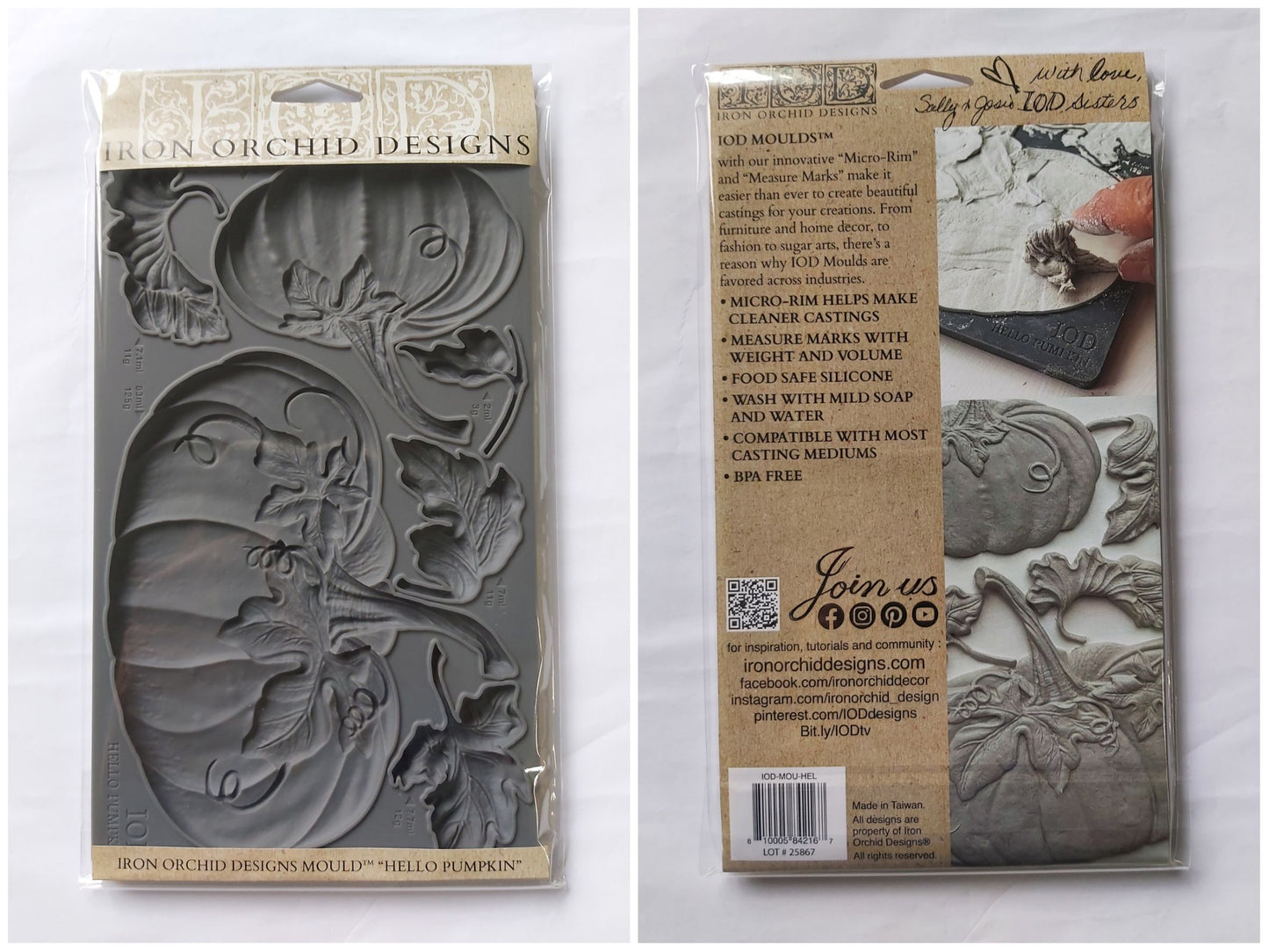 Hello Pumpkin Mould (IOD) Iron Orchid Designs- 6x10