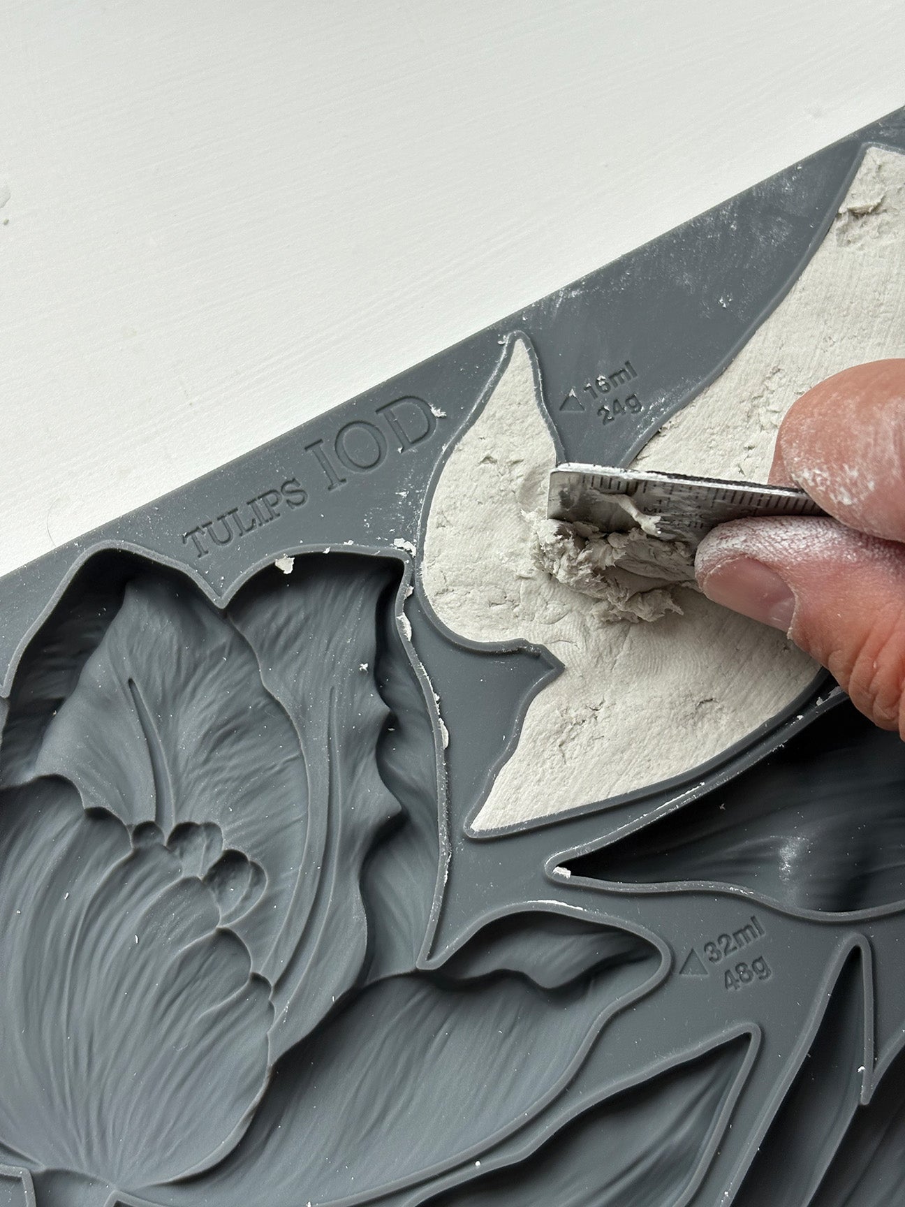 Tulips Mould (IOD) Iron Orchid Designs- 6x10